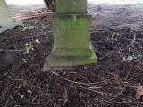 image of grave number 609997